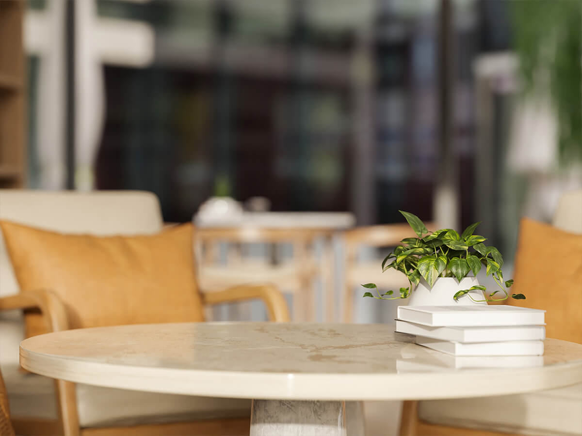 Why Environment Matters in Elderly Care- Design That Supports Wellbeing